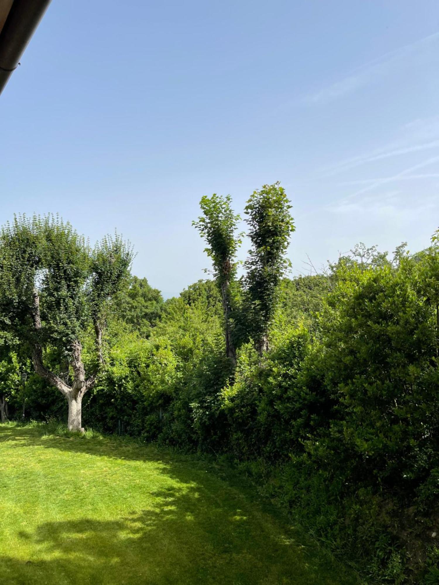 L' Aia Del Principe Villa Montepulciano Stazione Eksteriør billede