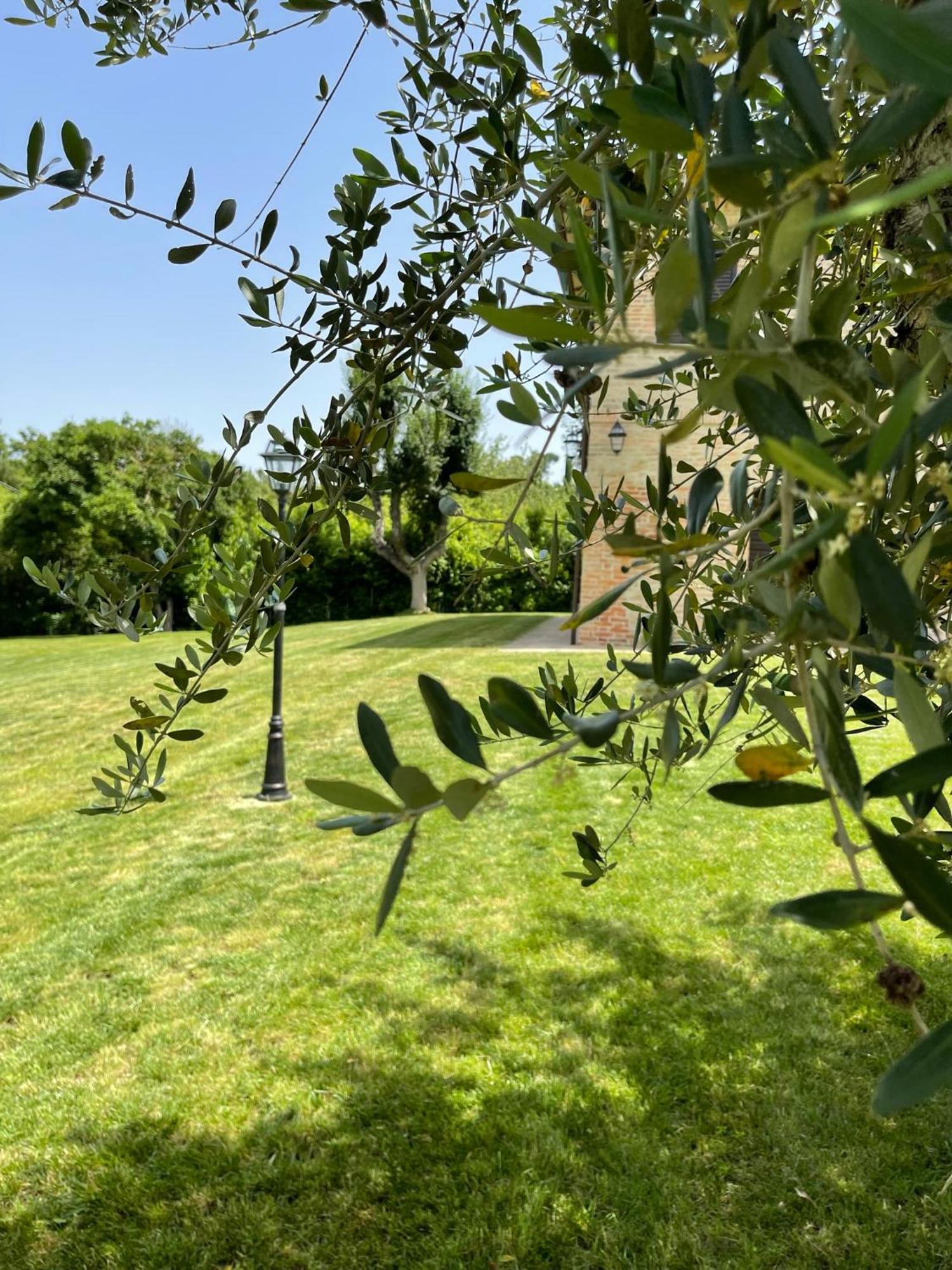 L' Aia Del Principe Villa Montepulciano Stazione Eksteriør billede