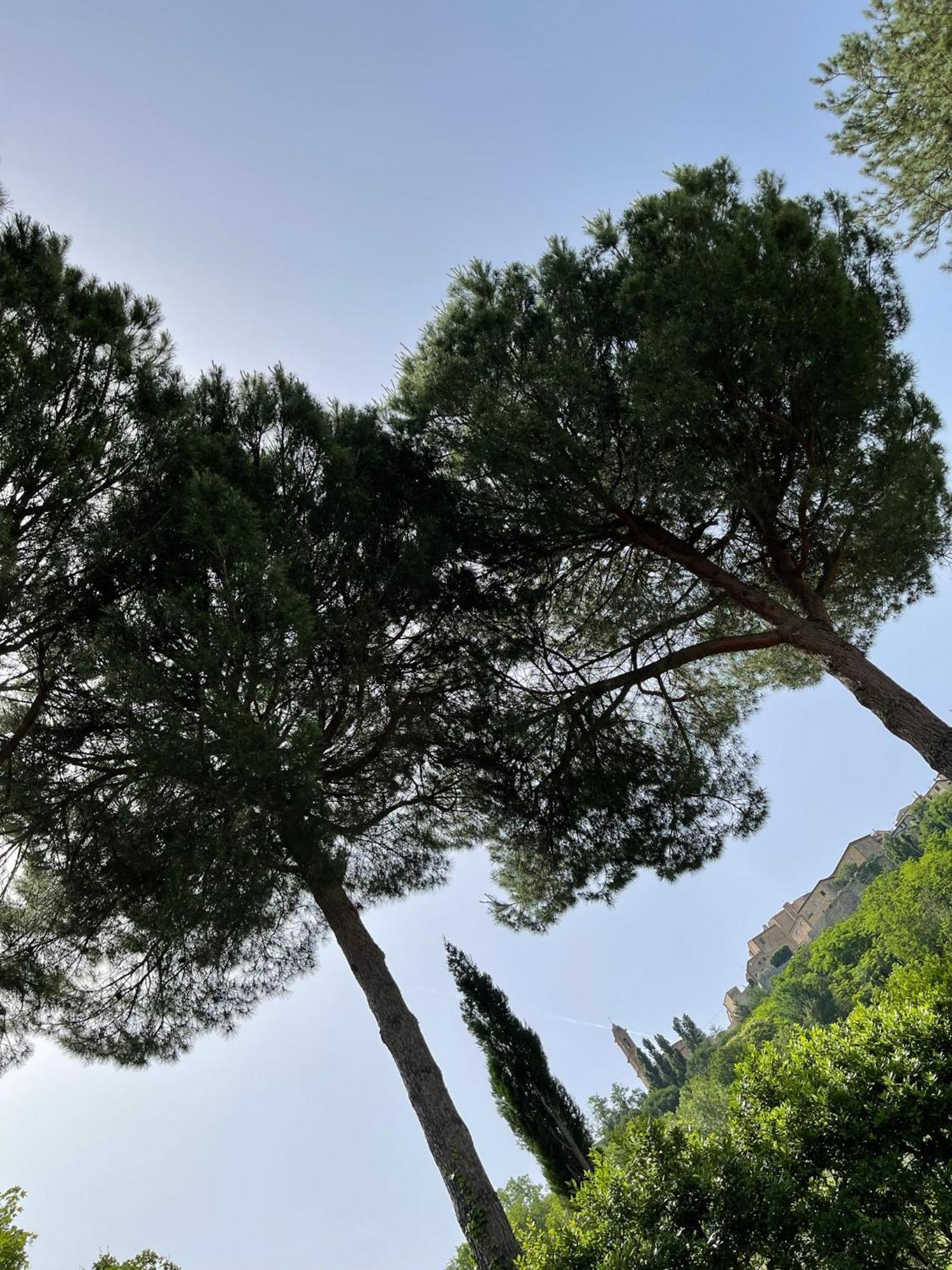 L' Aia Del Principe Villa Montepulciano Stazione Eksteriør billede